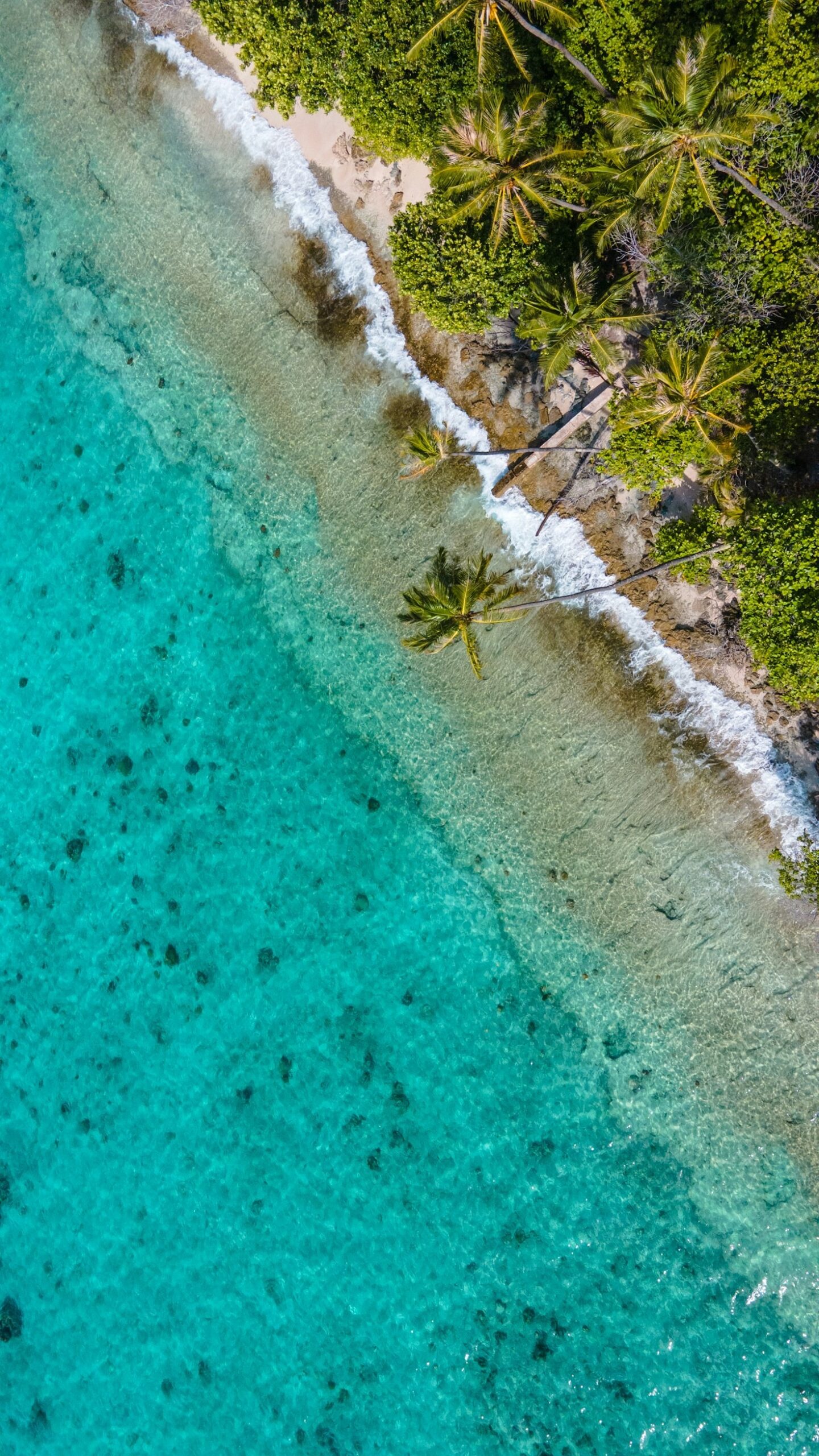 A Traveler’s Guide to Kulhudhuffushi