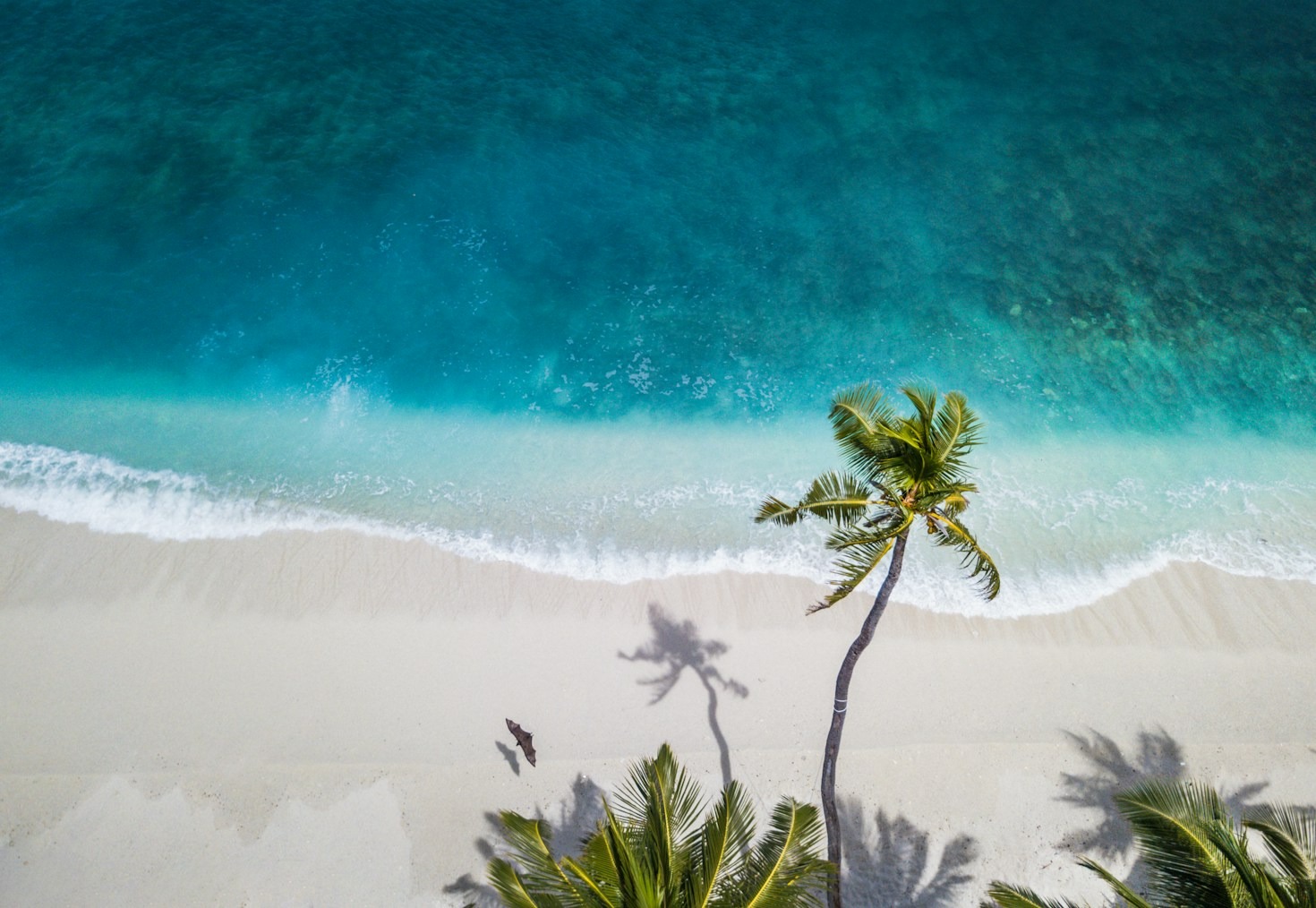 Discovering the Cultural Gems of Kulhudhuffushi
