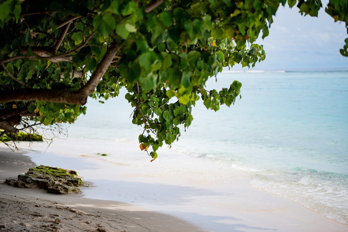 Kulhudhuffushi’s Hidden Wonders Revealed
