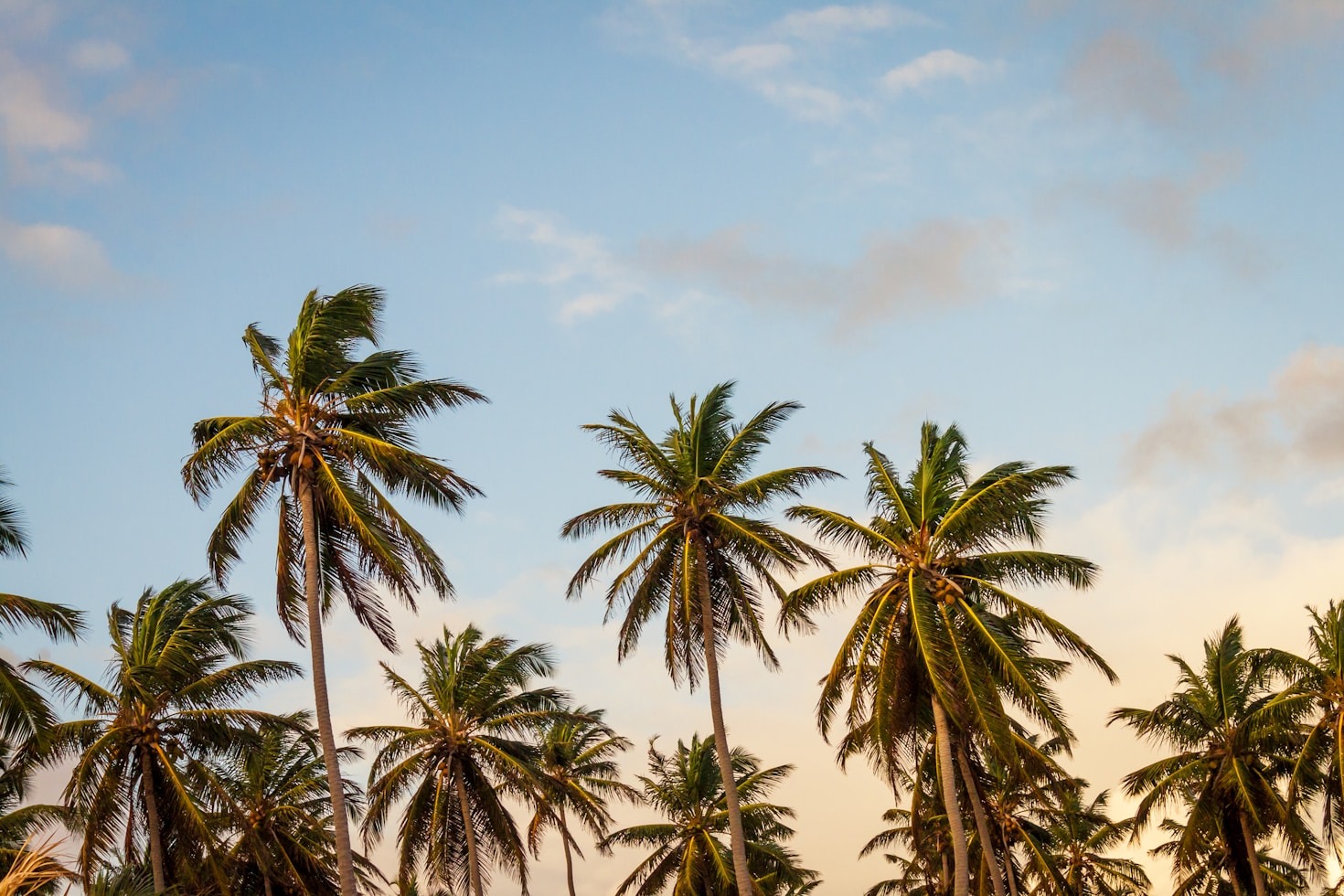 The Rich History of Kulhudhuffushi